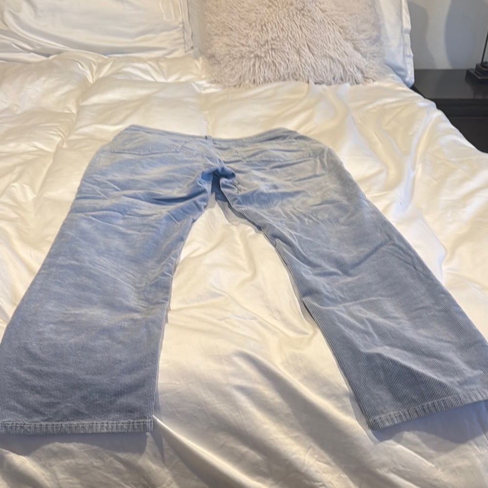 Pilcro Light Blue Corduroy Pants